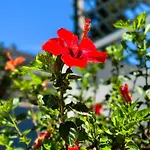 شقة Salora Studio-apartments