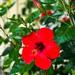 Salora Studio-apartments شقة *